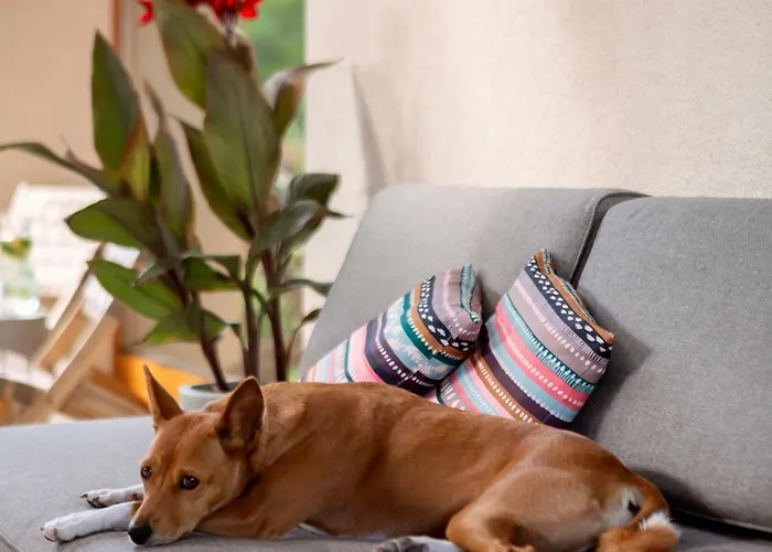 Slapy Hrdlicka Nyaraló *